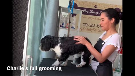 charlie's bark park|charlie's dog grooming.